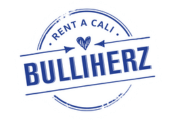 Camper mieten Hannover: Das Logo von Bulliherz