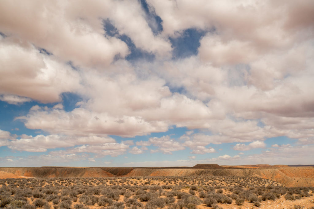 Die Weisheit der Natur: Die Wüste mit Grand Canyon und rosa Wolken