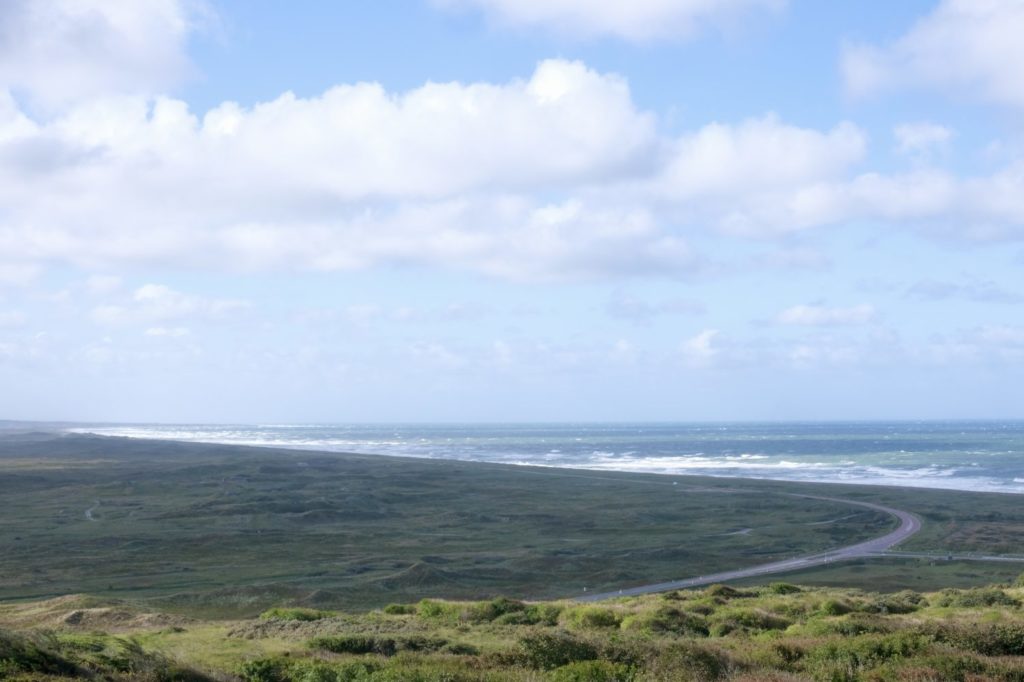 Surfen in Dänemark: Blick auf die Nationalstraße