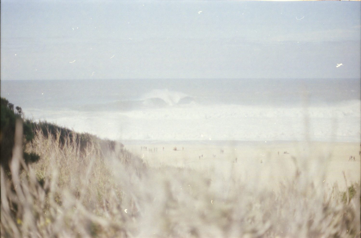 Surfen in Nazare: TItelbild