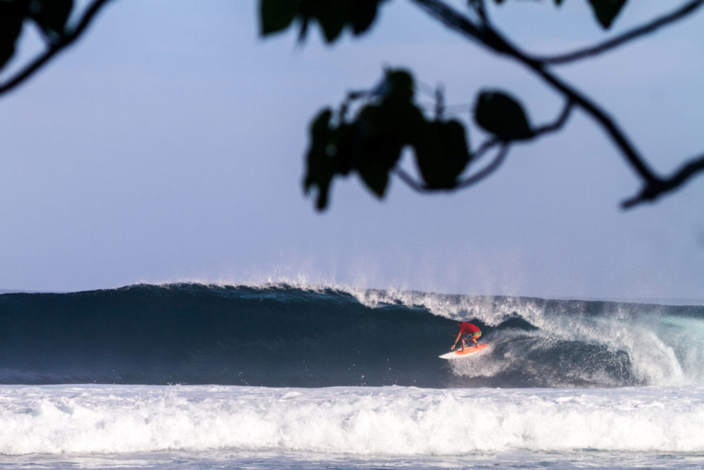 Ein Surfer verschwindet hinter dem Vorhang einer Welle.