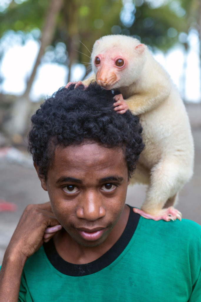 Bild: Ein Junge aus dem Dorf mit seinem zahmen Opossum.