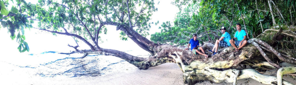 Drei Männer sitzen auf einem alten Baum am Strand.