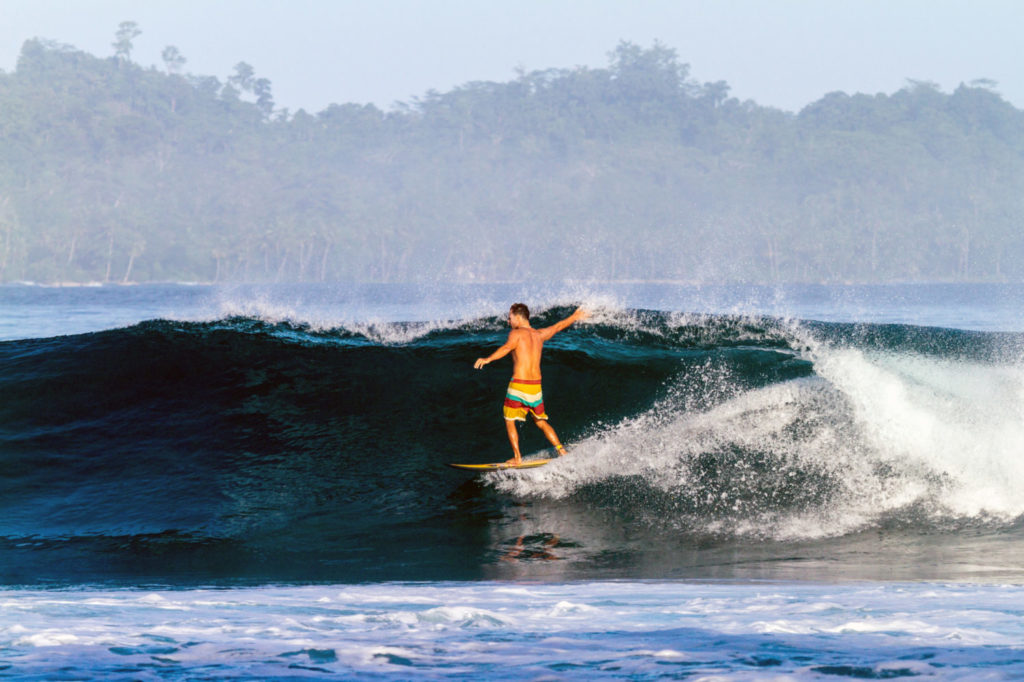 Ein Surfer auf einer kleinen schönen Welle mit Palmen im Hintergrund.