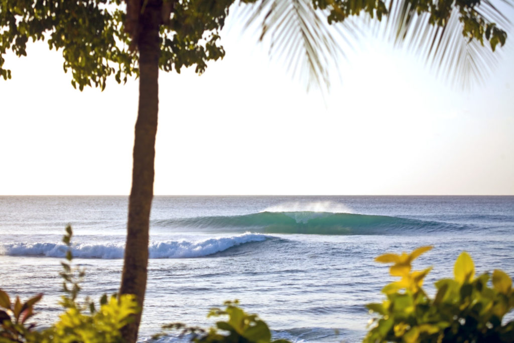 Die besten Surf-Inseln der Welt: Barbados, eine Welle im Nachmittagslicht