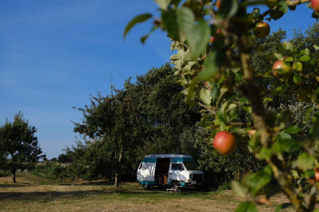 Dänemark Roadtrip: Stellplatz auf einer Streuobstwiese