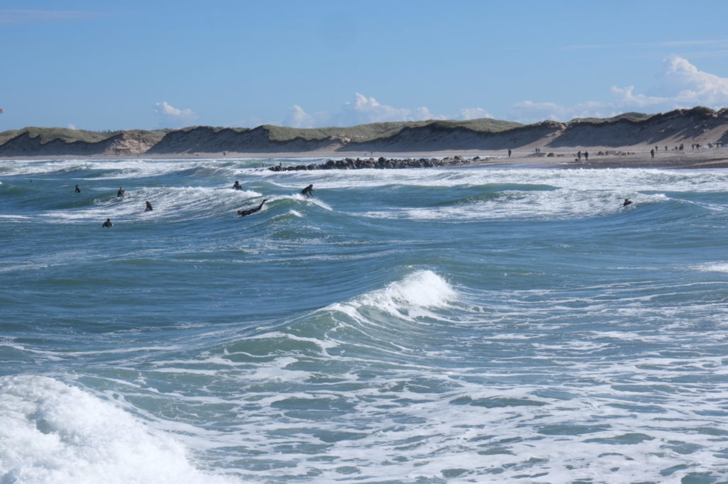 Surfen in Europa: Eine Gruppe Surfer im Wasser am Strand von Norre Vorrupoer