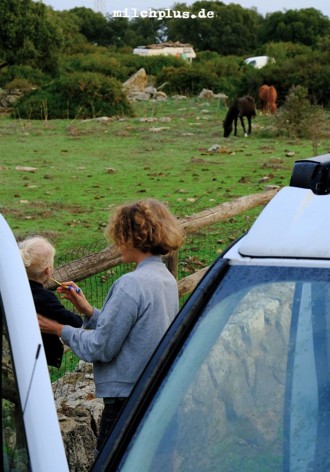 Off Campers Test: Ein Kind bekommt die Zähne geputzt, im Hintergrund wilde Pferde