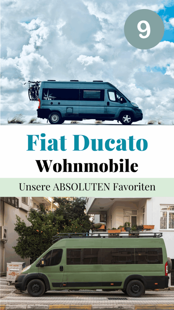 Ducato Wohnmobil: Collage mit Ducatos für Pinterest 2