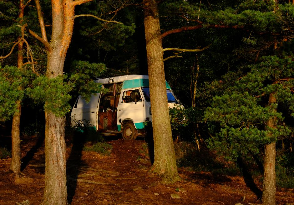 Ein Campervan steht im Wald und wird von der Sonne angeschienen